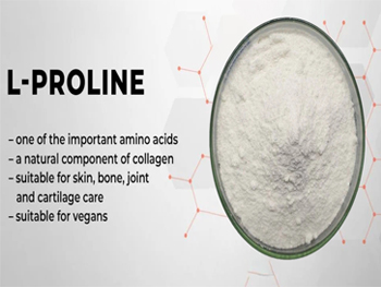 L-Proline Powder Benefits,Uses And Side Effects